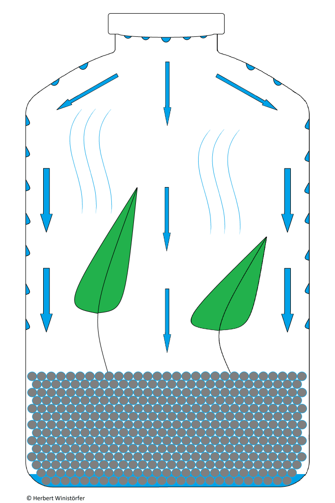 Water circulation in a hermetosphere, schematic illustration; own illustration.