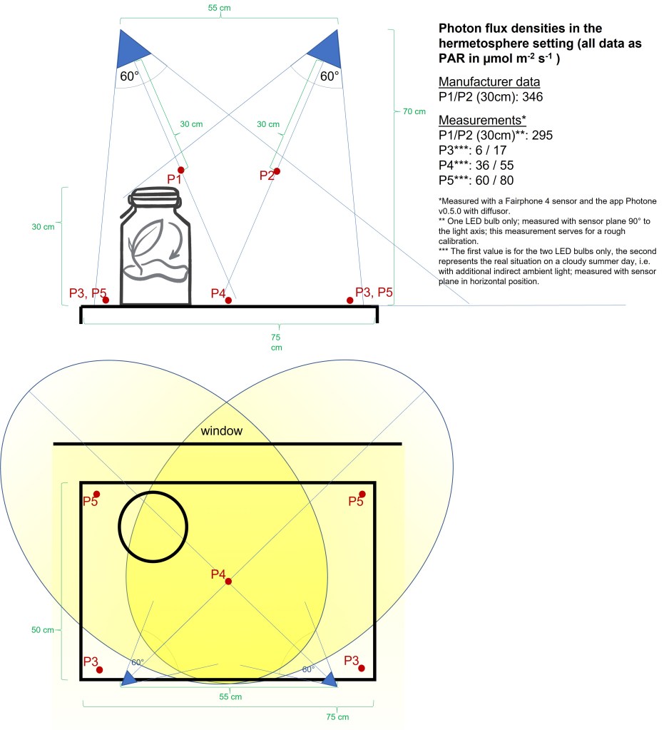 Light situation at the location of my hermetospheres: side view (above) and top view (below); with indicated and measured light intensities (own illustration).