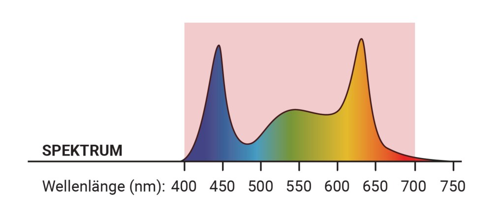 Emission spectrum of the LED lights in use; the photoynthetically active range marked by red shading  (Parus Grow Light "Indoor Plants", 18W, with permission of Venso EcoSolutions GmbH).