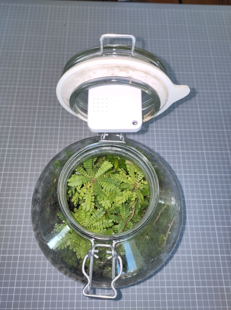 How the sensot tag is placed in the lid of the jar (2).