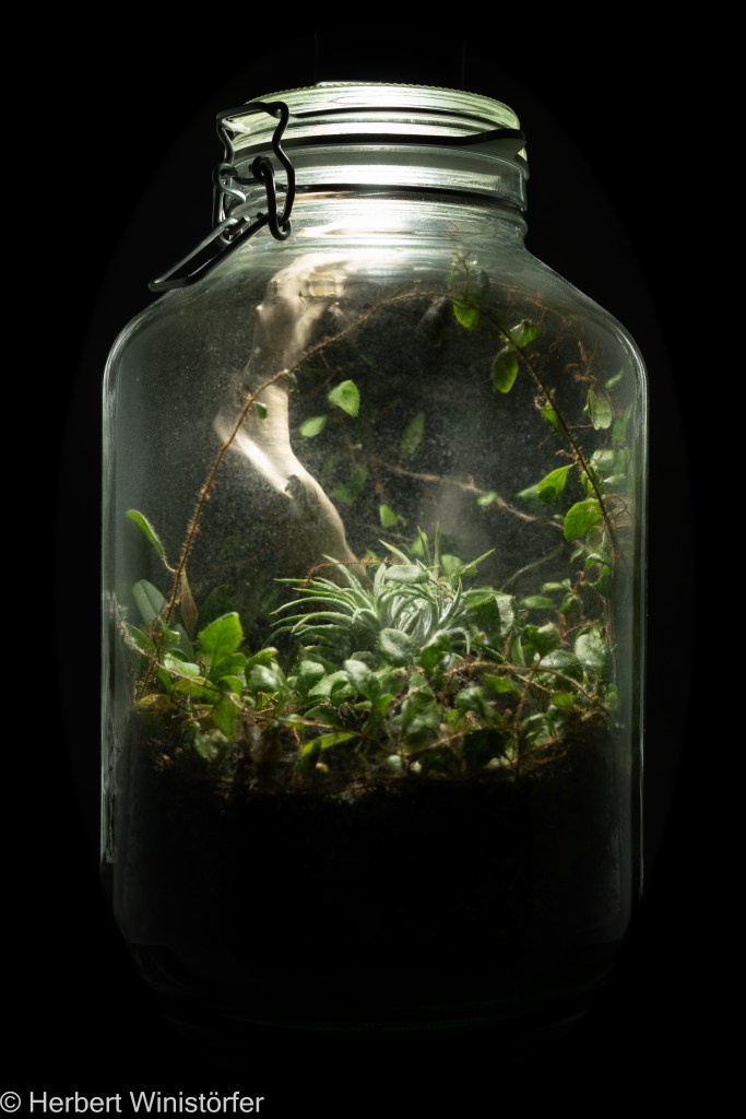 The entire 5-litre container dedicated to Costa Rica; 06.03.2024, 558 days after onset.